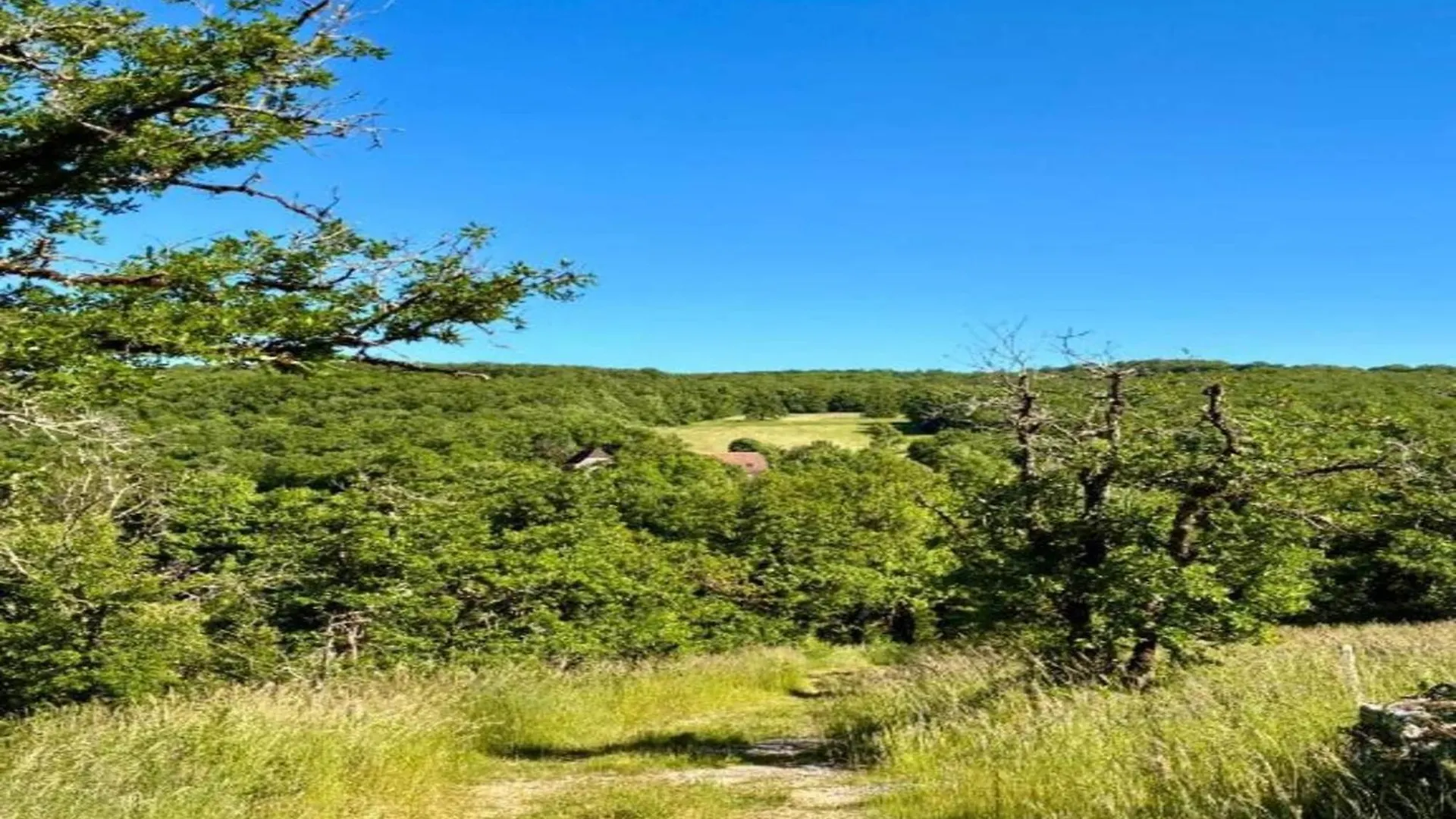 Beautiful Holiday Home Near The Forest Murat